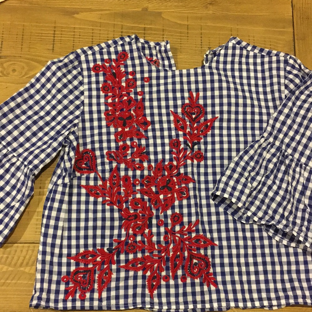 Blue and white checkered blouse.